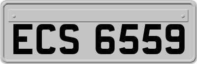 ECS6559