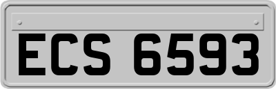ECS6593