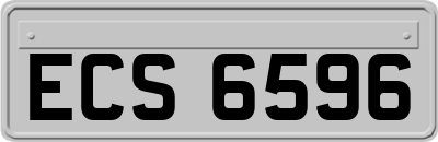 ECS6596