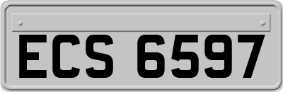 ECS6597