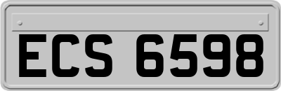 ECS6598