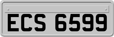 ECS6599
