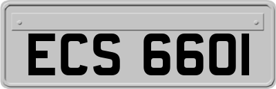 ECS6601