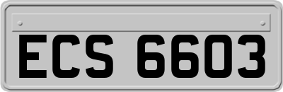 ECS6603