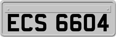 ECS6604