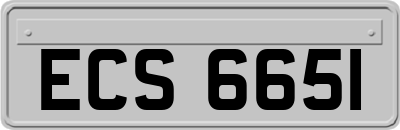 ECS6651