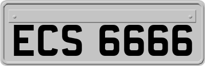 ECS6666