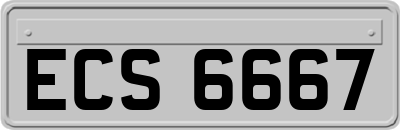 ECS6667