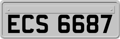 ECS6687