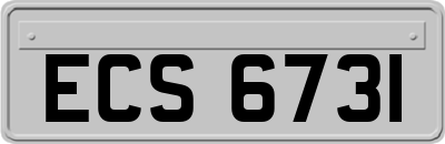 ECS6731