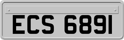 ECS6891