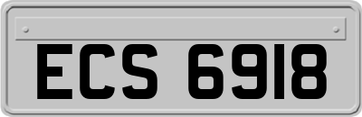 ECS6918