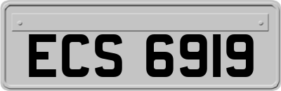 ECS6919
