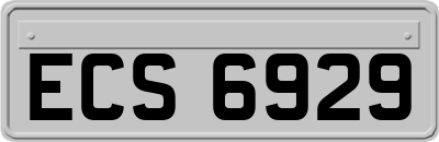ECS6929
