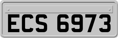 ECS6973