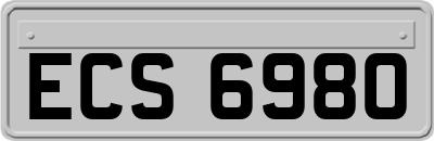 ECS6980