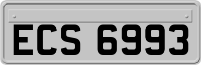 ECS6993