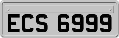 ECS6999