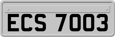 ECS7003