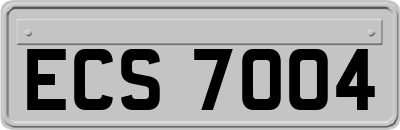 ECS7004