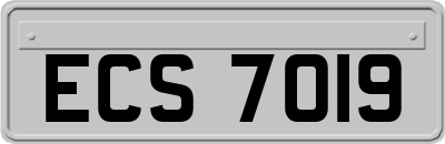 ECS7019