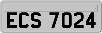 ECS7024