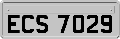ECS7029