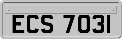 ECS7031