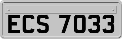 ECS7033