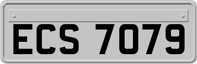 ECS7079