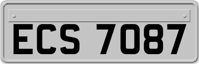 ECS7087