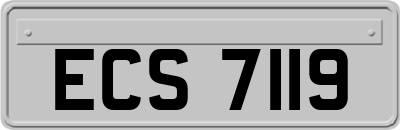 ECS7119
