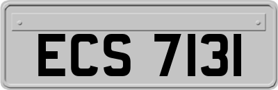 ECS7131