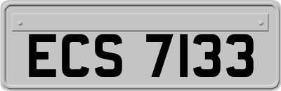 ECS7133