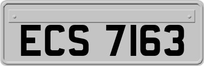 ECS7163