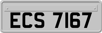 ECS7167