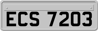 ECS7203
