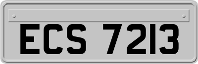 ECS7213
