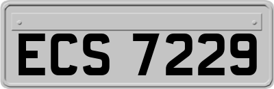 ECS7229
