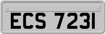 ECS7231