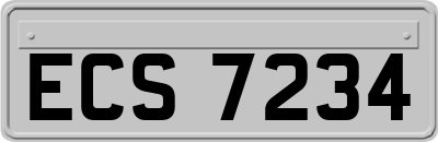 ECS7234