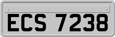 ECS7238