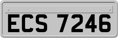 ECS7246