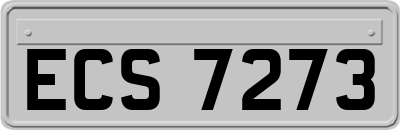 ECS7273