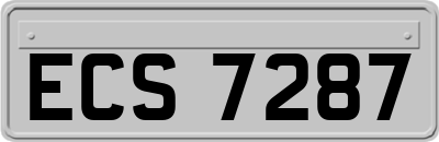 ECS7287