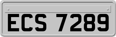 ECS7289