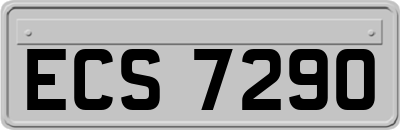 ECS7290