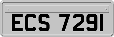 ECS7291