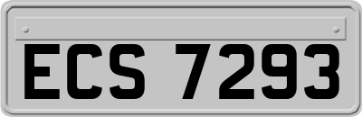 ECS7293
