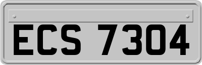 ECS7304